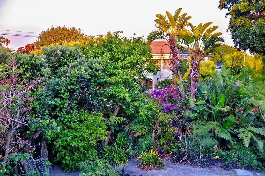 Rondebosch Vista Elevated Luxury Apartment Cape Town